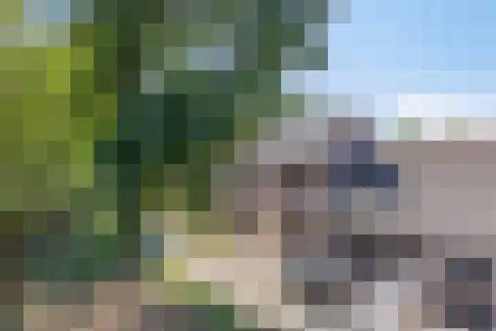 Overijsselplantsoen 18 Helmond thumbnail 43