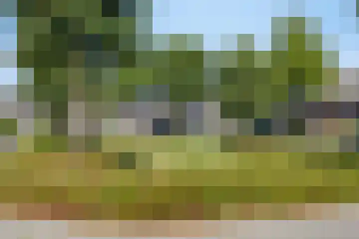 Overijsselplantsoen 18 Helmond thumbnail 44