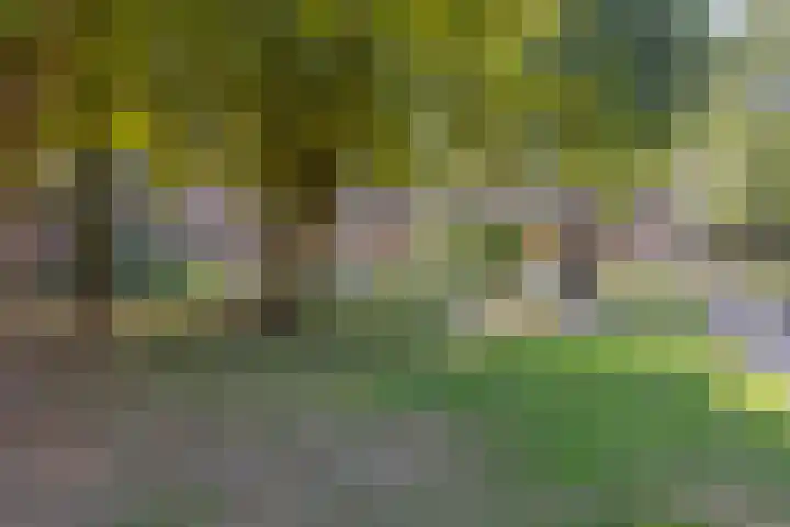 Overijsselplantsoen 18 Helmond thumbnail 45