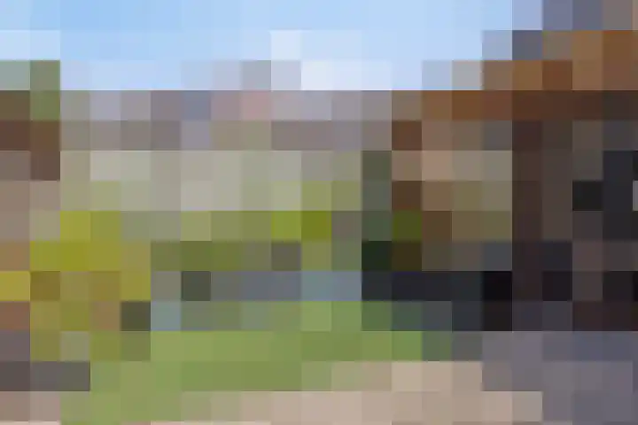 Overijsselplantsoen 18 Helmond thumbnail 6