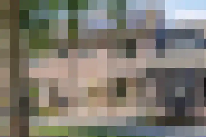 Overijsselplantsoen 18 Helmond thumbnail 8