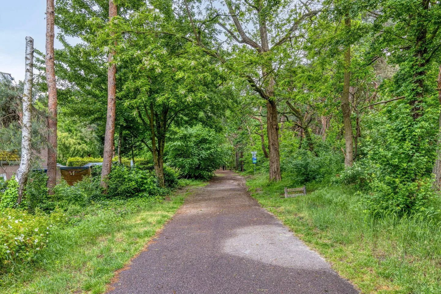 Overijsselplantsoen 37 Helmond thumbnail 33