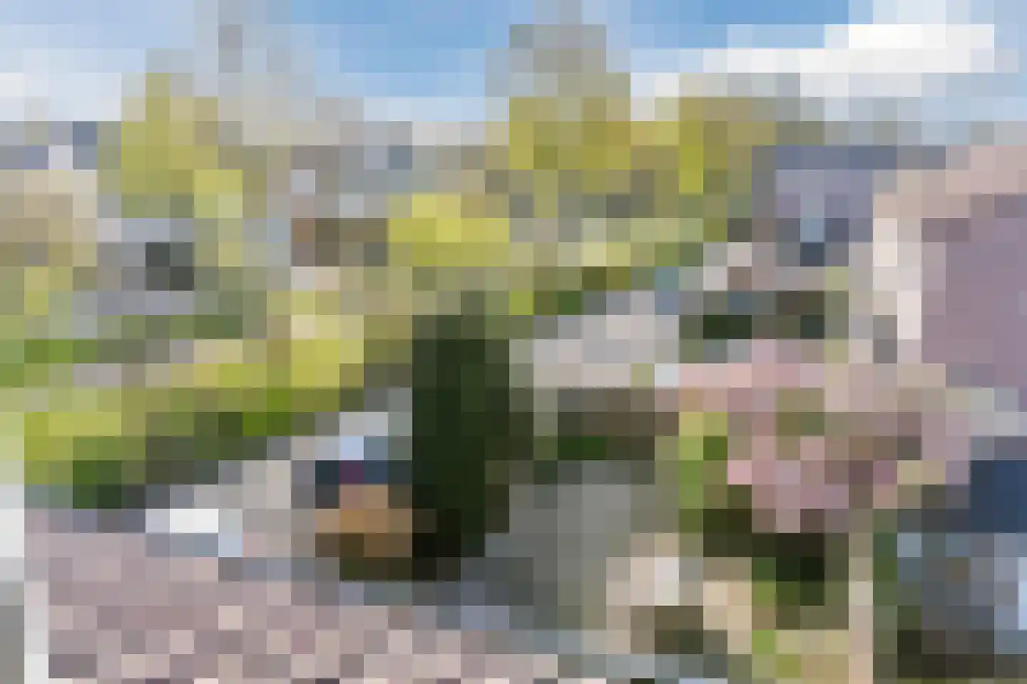 Overijsselplantsoen 37 Helmond thumbnail 41