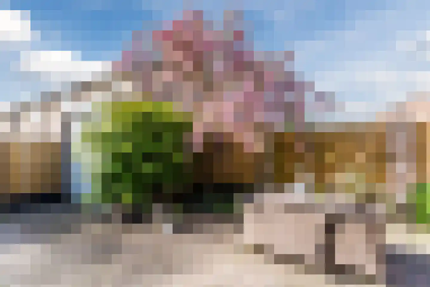 Overijsselplantsoen 37 Helmond thumbnail 44
