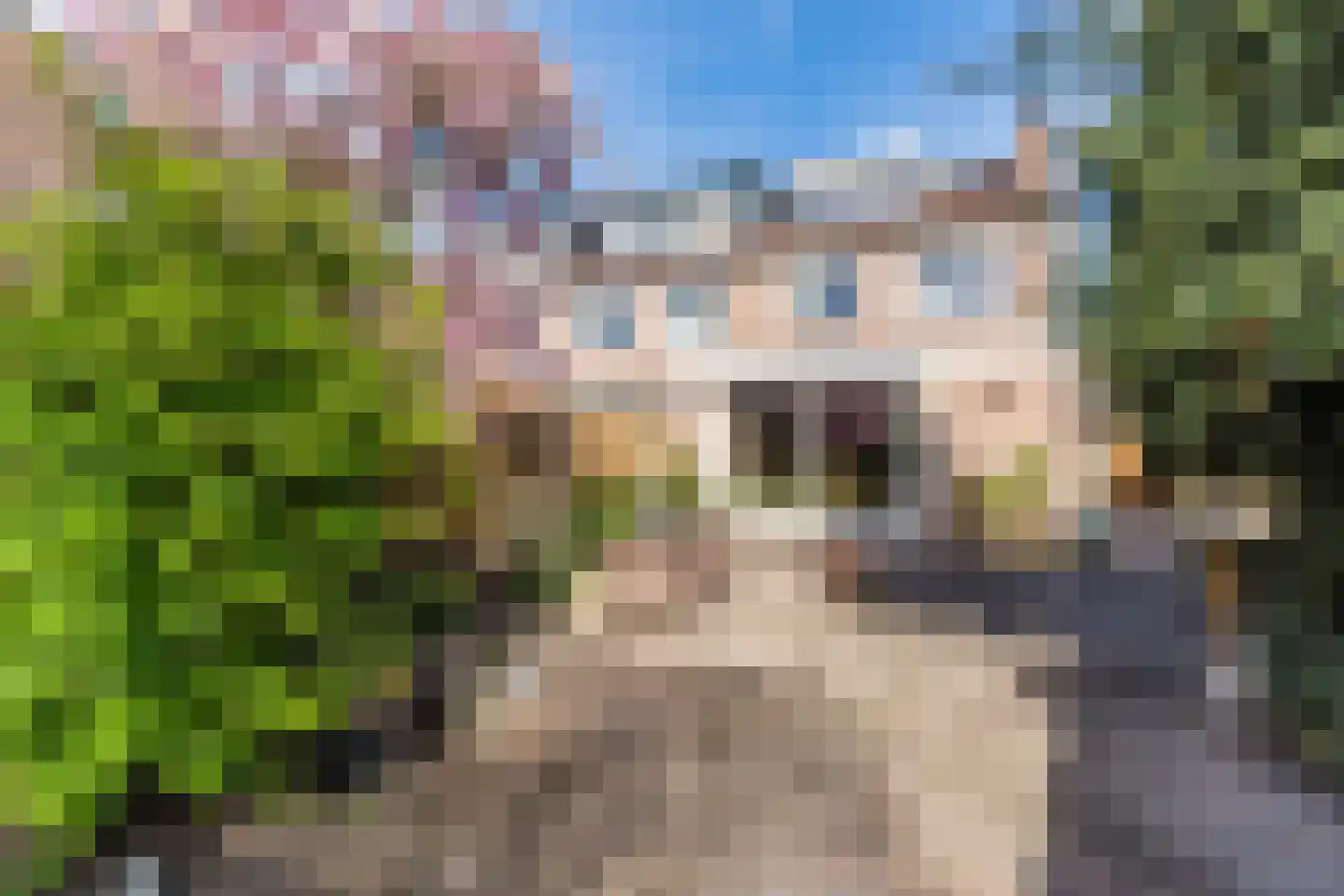 Overijsselplantsoen 37 Helmond thumbnail 45