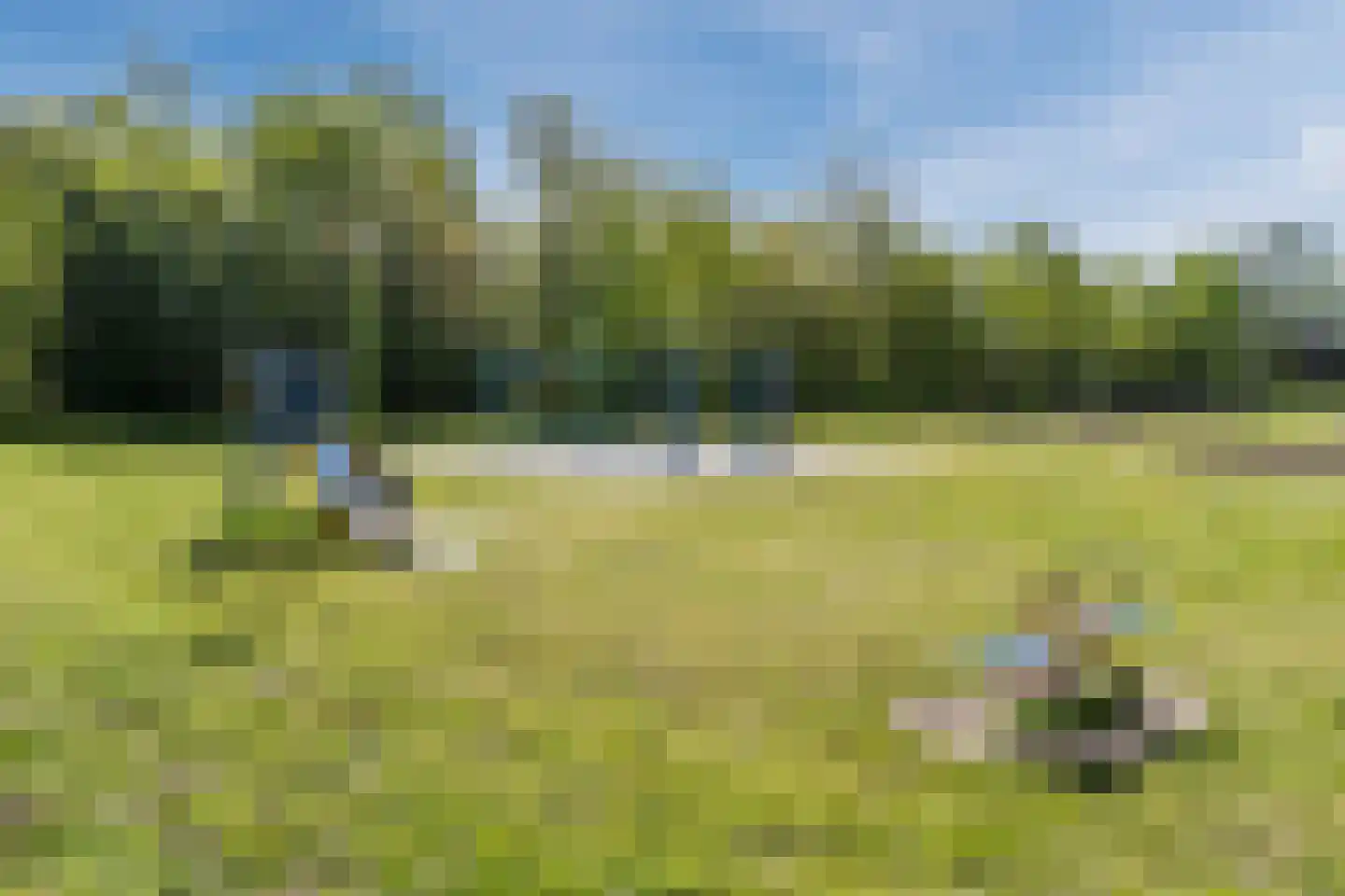 Overijsselplantsoen 37 Helmond thumbnail 53