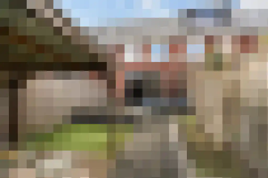 Overkerk 24 Dordrecht thumbnail 21