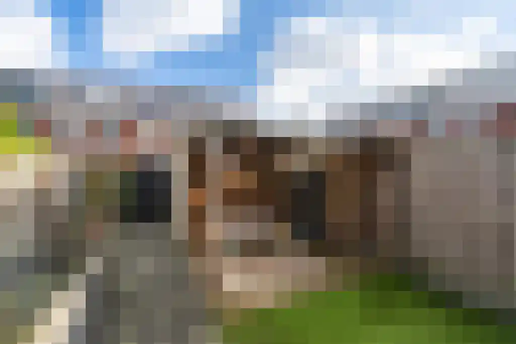 Overkerk 24 Dordrecht thumbnail 5