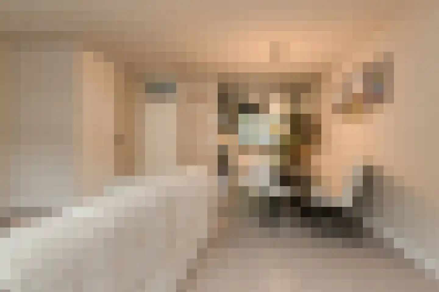 Overkroetenlaan 130 Breda thumbnail 10