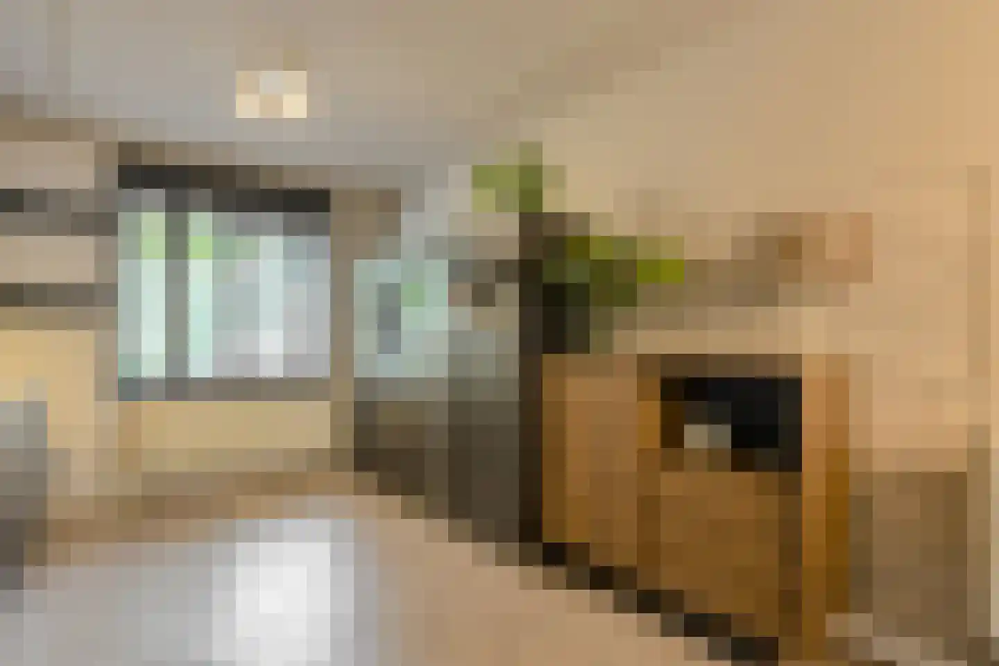 Overkroetenlaan 130 Breda thumbnail 11