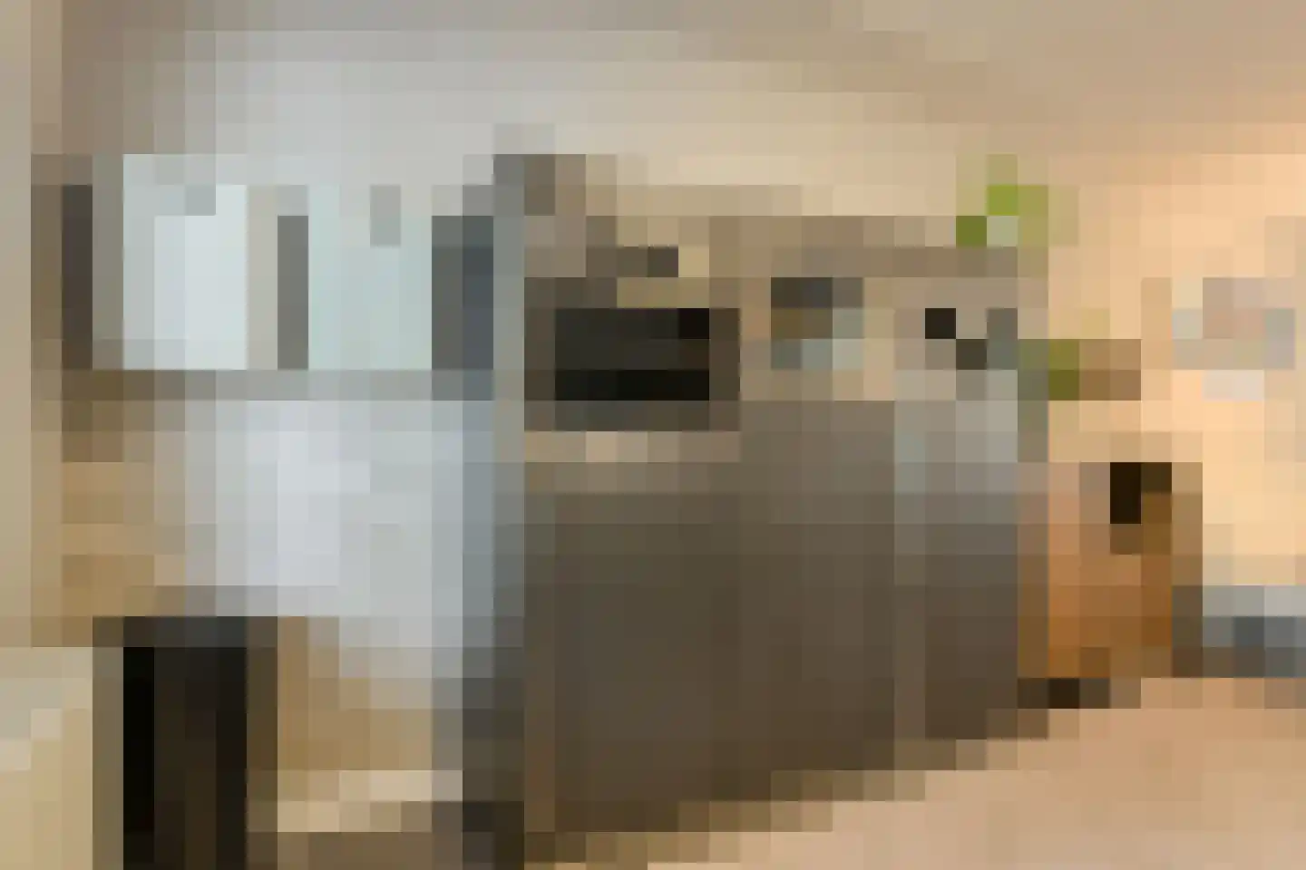 Overkroetenlaan 130 Breda thumbnail 14