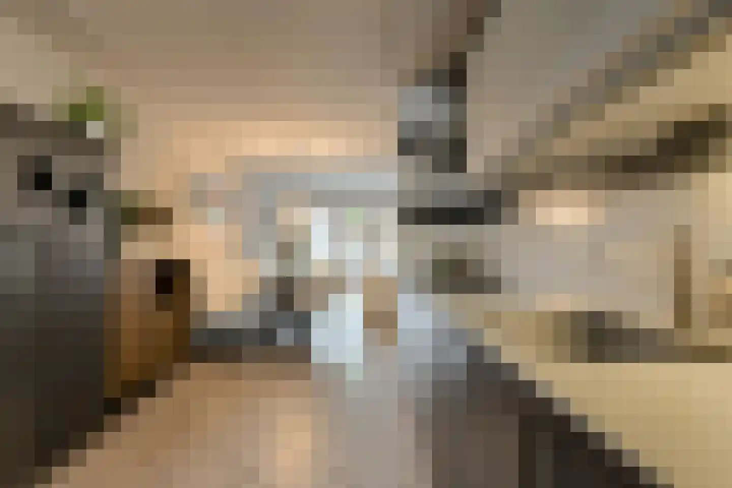 Overkroetenlaan 130 Breda thumbnail 15