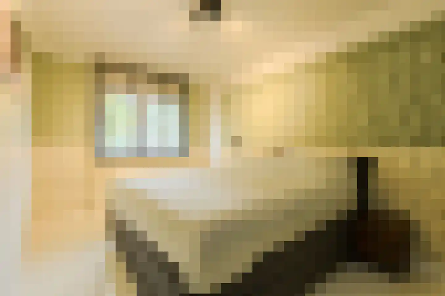 Overkroetenlaan 130 Breda thumbnail 21