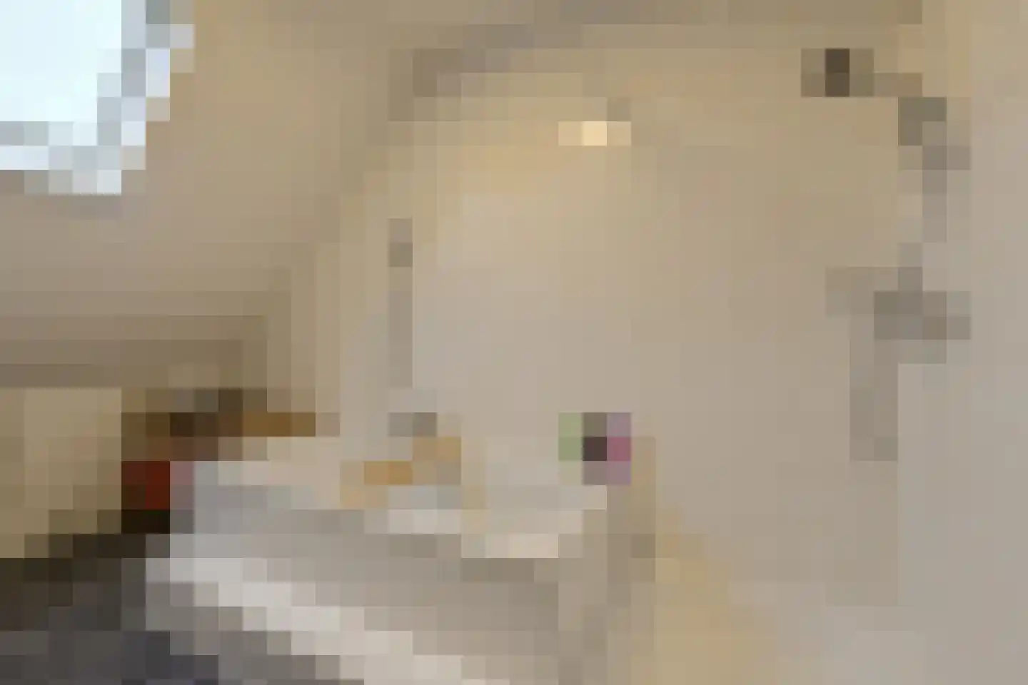 Overkroetenlaan 130 Breda thumbnail 24