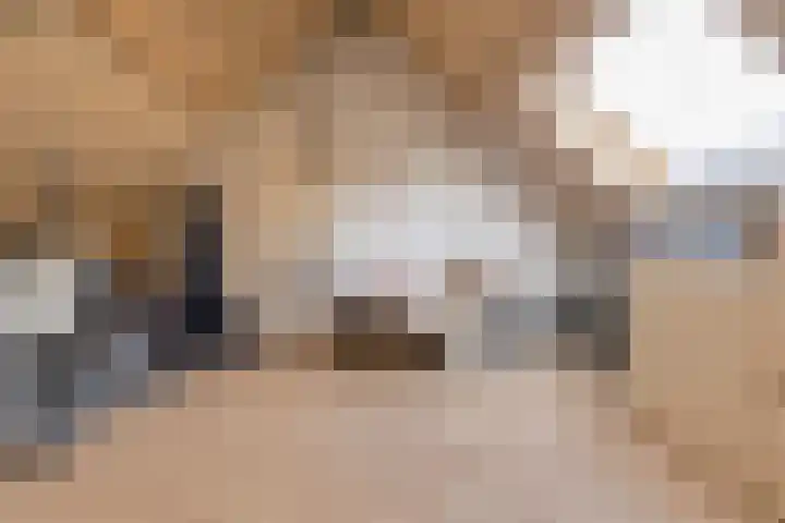 Overkroetenlaan 130 Breda thumbnail 26