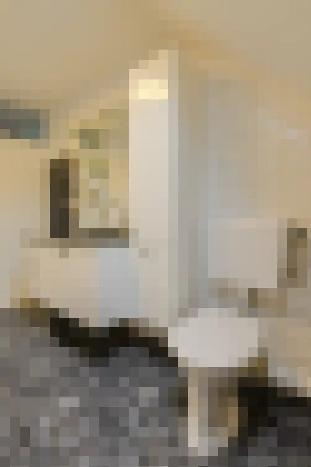 Overkroetenlaan 130 Breda thumbnail 26