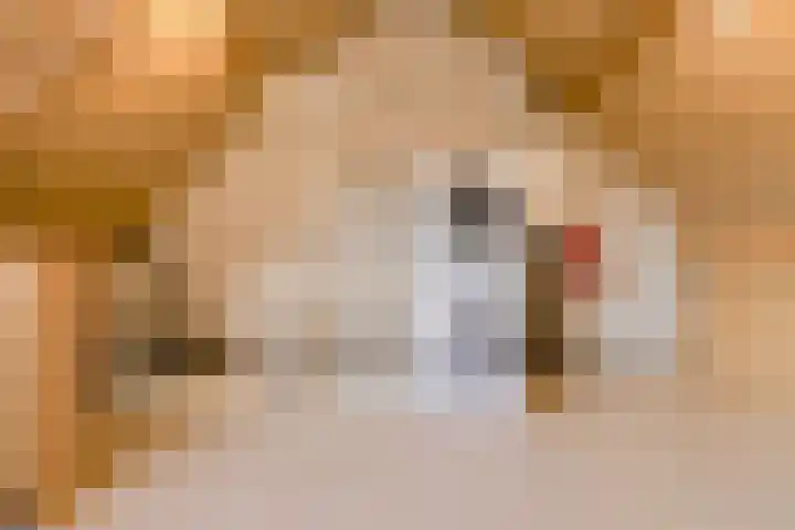 Overkroetenlaan 130 Breda thumbnail 28
