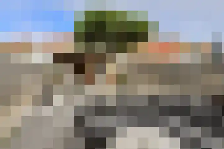 Overkroetenlaan 130 Breda thumbnail 29