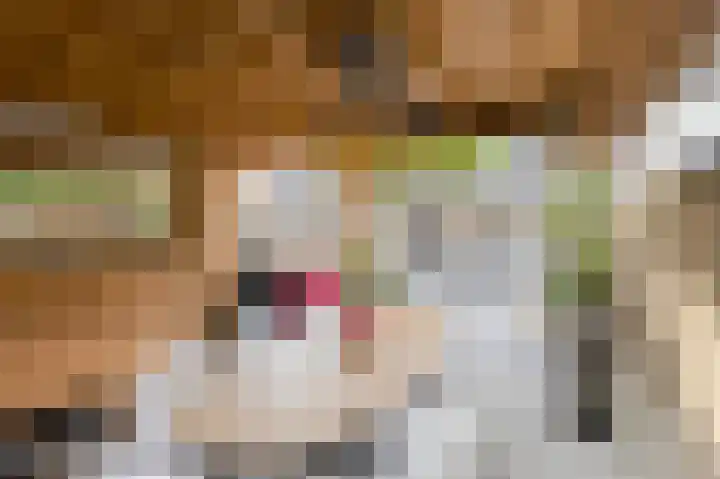 Overkroetenlaan 130 Breda thumbnail 34