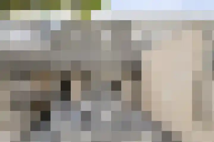 Overkroetenlaan 130 Breda thumbnail 36