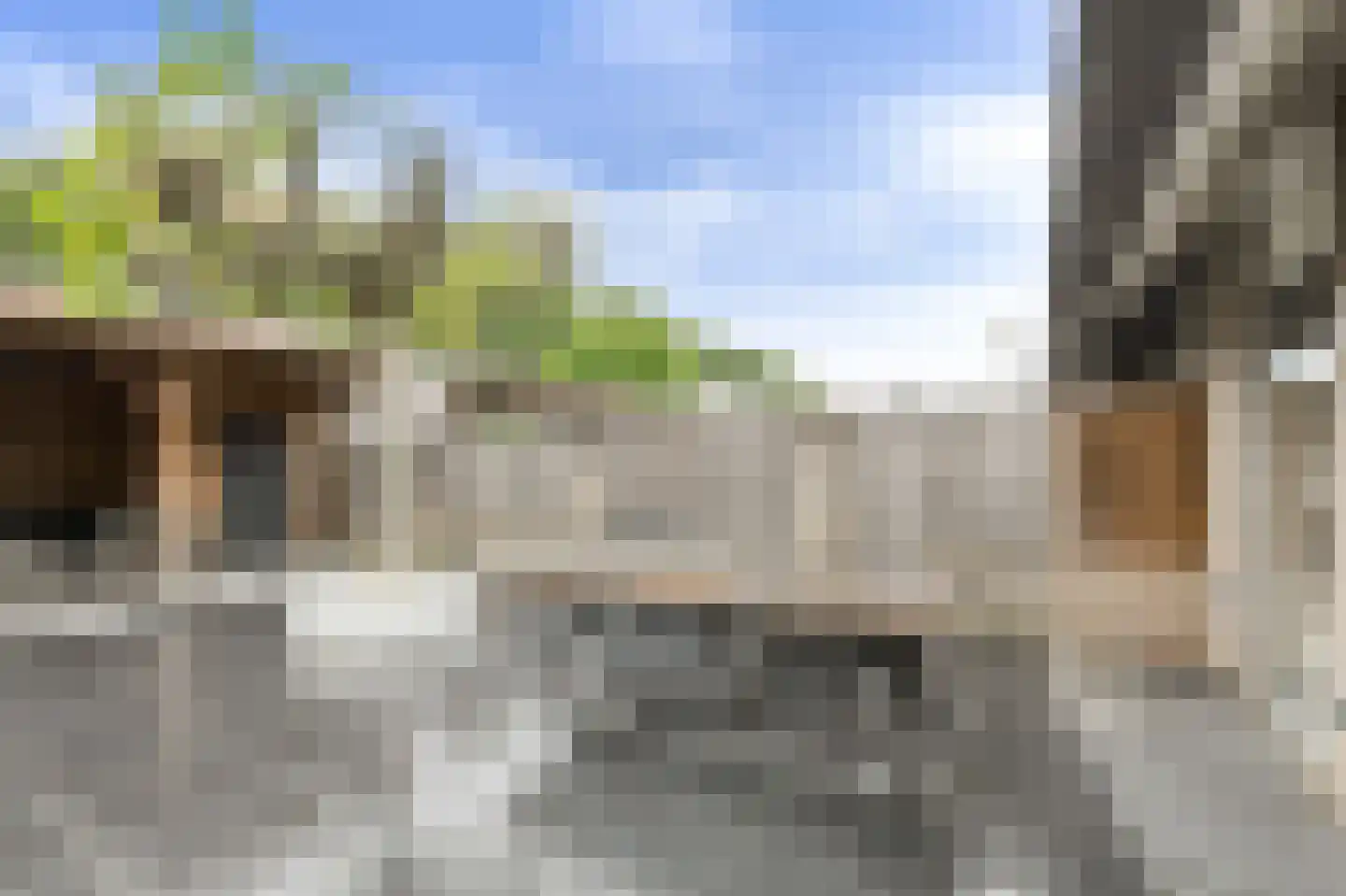 Overkroetenlaan 130 Breda thumbnail 36