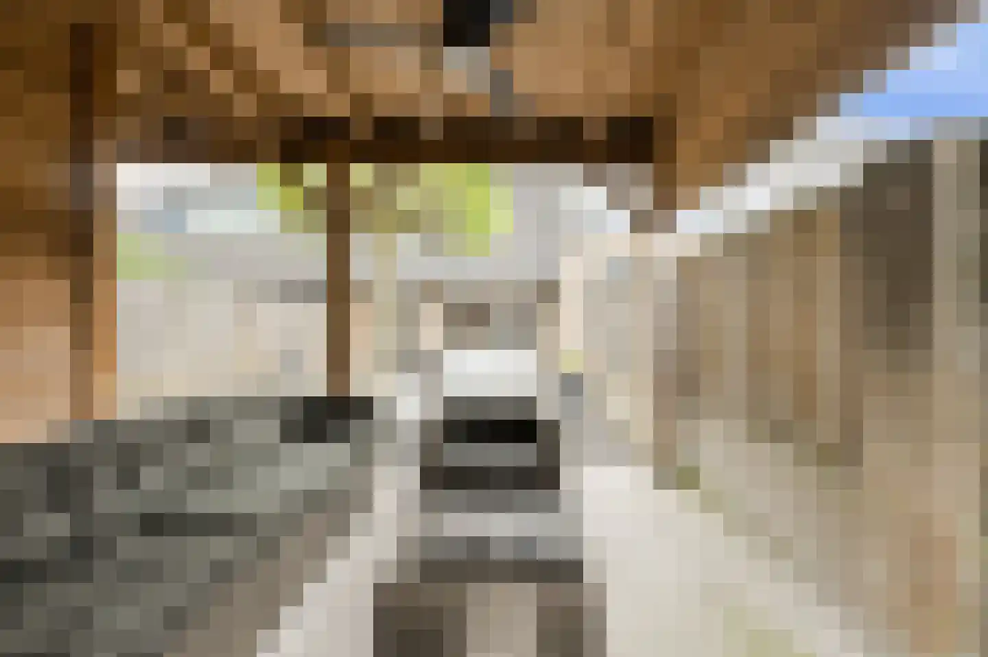 Overkroetenlaan 130 Breda thumbnail 38