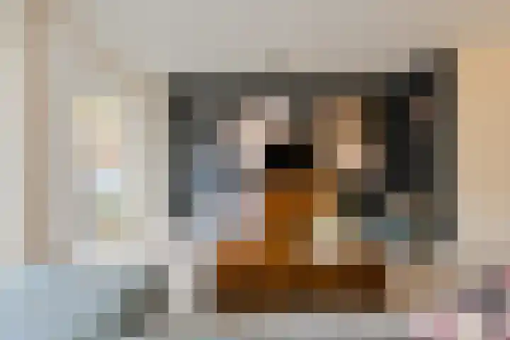 Overkroetenlaan 130 Breda thumbnail 7