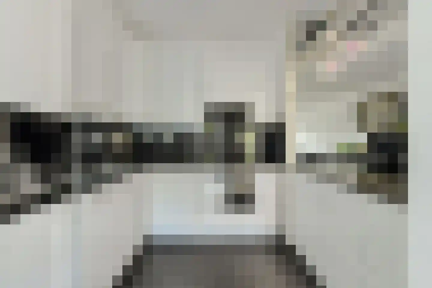 Overkroetenlaan 26 Breda thumbnail 15