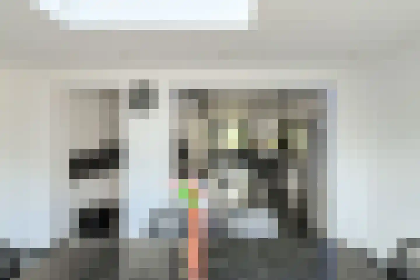 Overkroetenlaan 26 Breda thumbnail 17