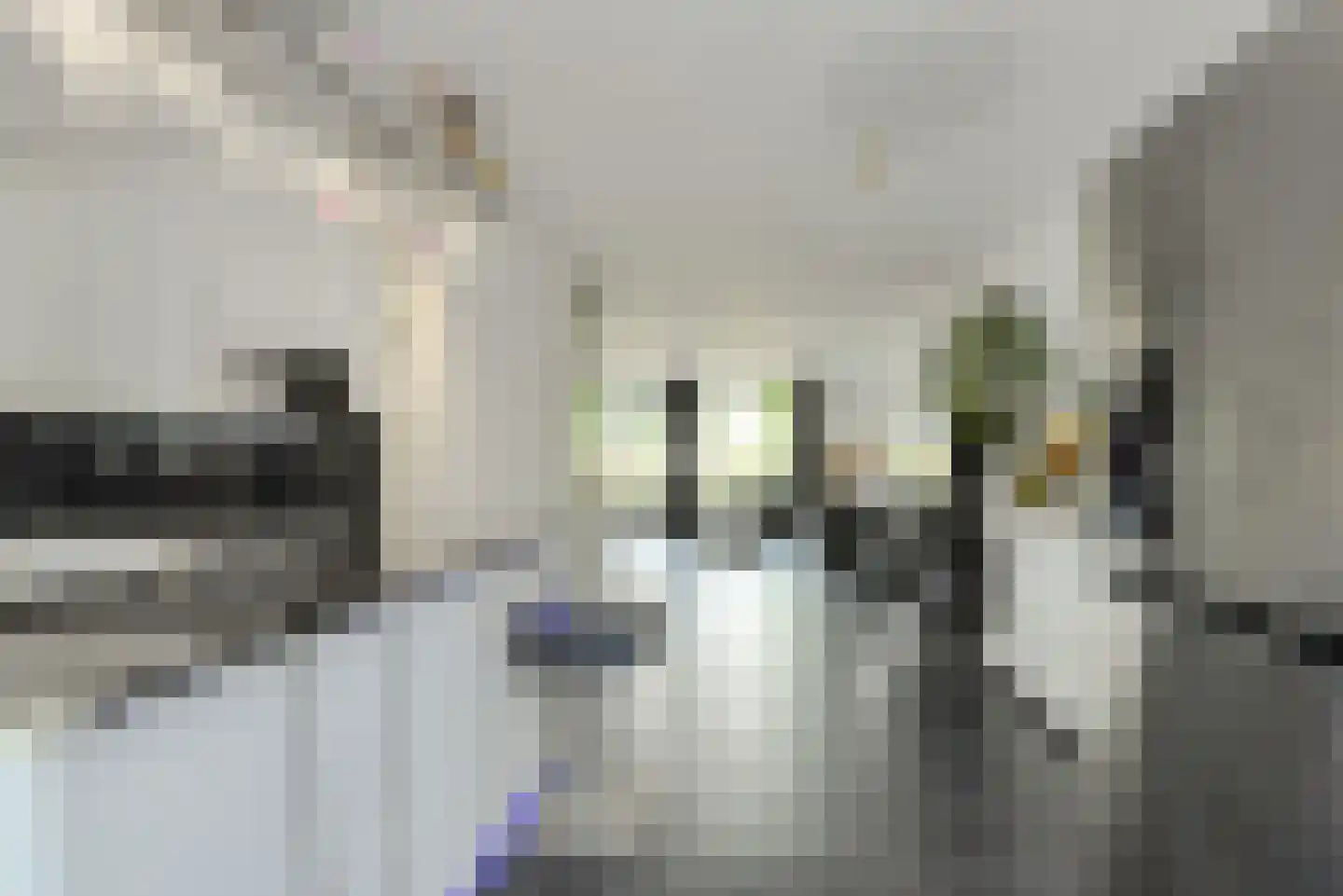 Overkroetenlaan 26 Breda thumbnail 18