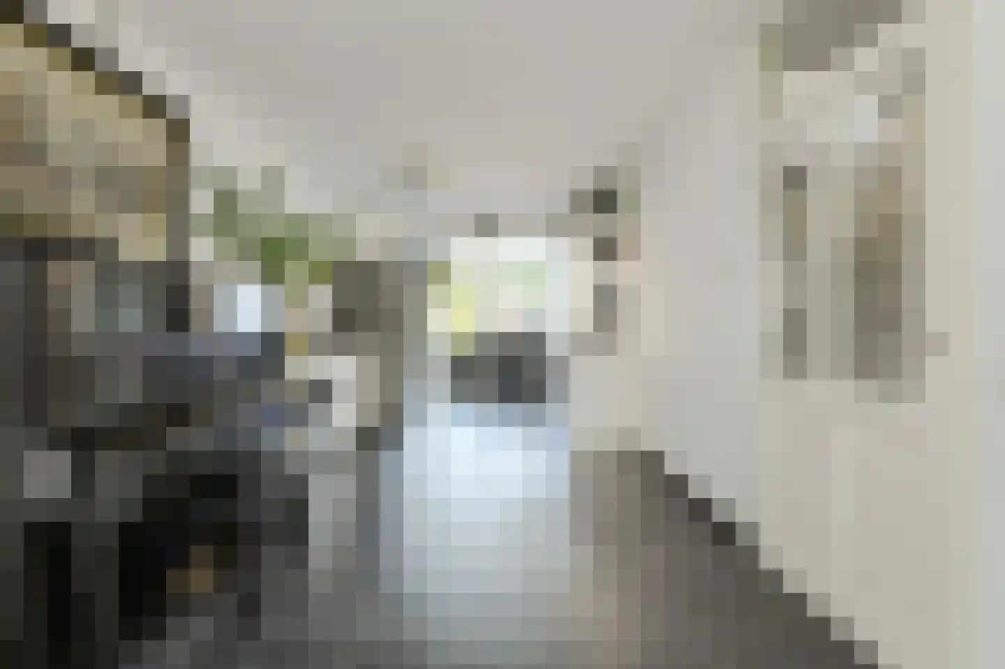 Overkroetenlaan 26 Breda thumbnail 8