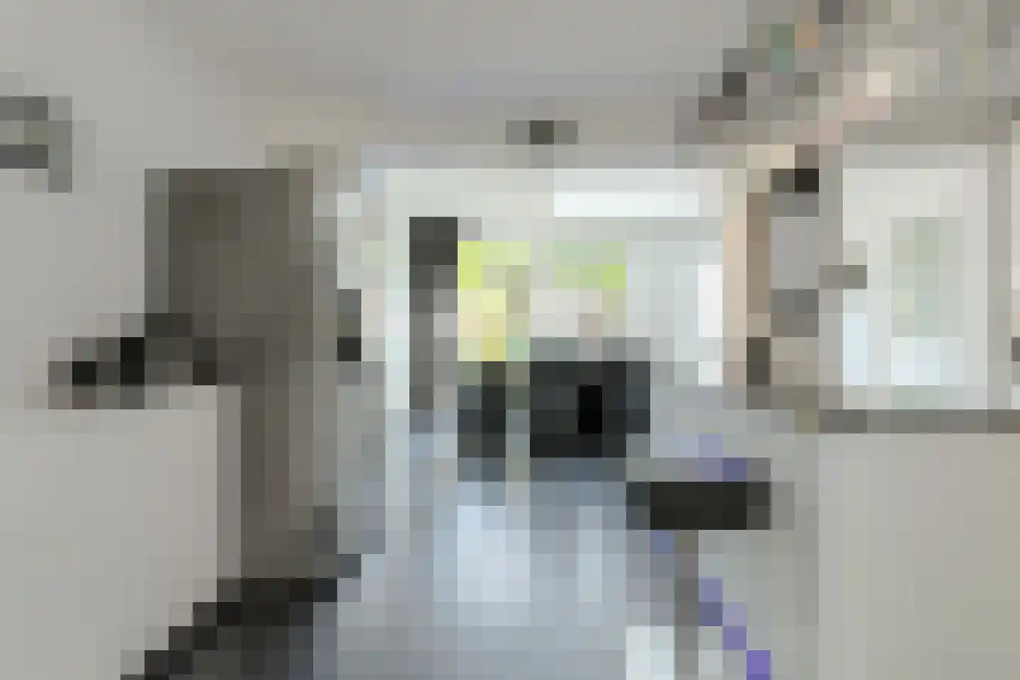 Overkroetenlaan 26 Breda thumbnail 9