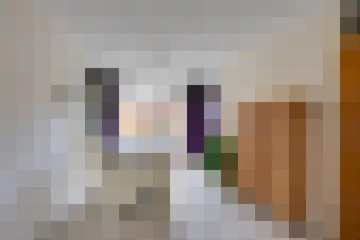 Overkroetenlaan 38 Breda thumbnail 14