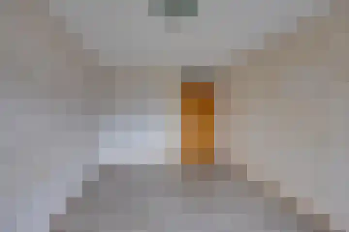 Overkroetenlaan 38 Breda thumbnail 19