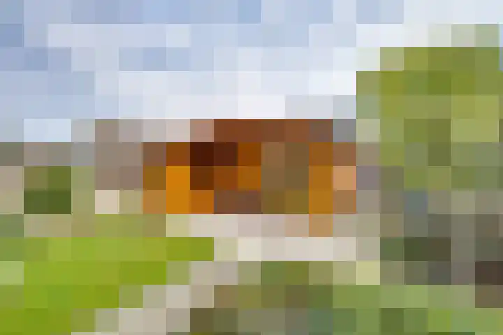 Overkroetenlaan 38 Breda thumbnail 31