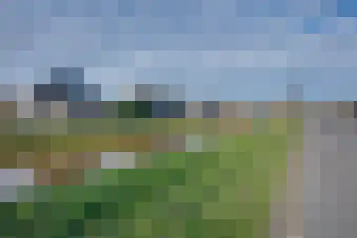 Overkroetenlaan 38 Breda thumbnail 33