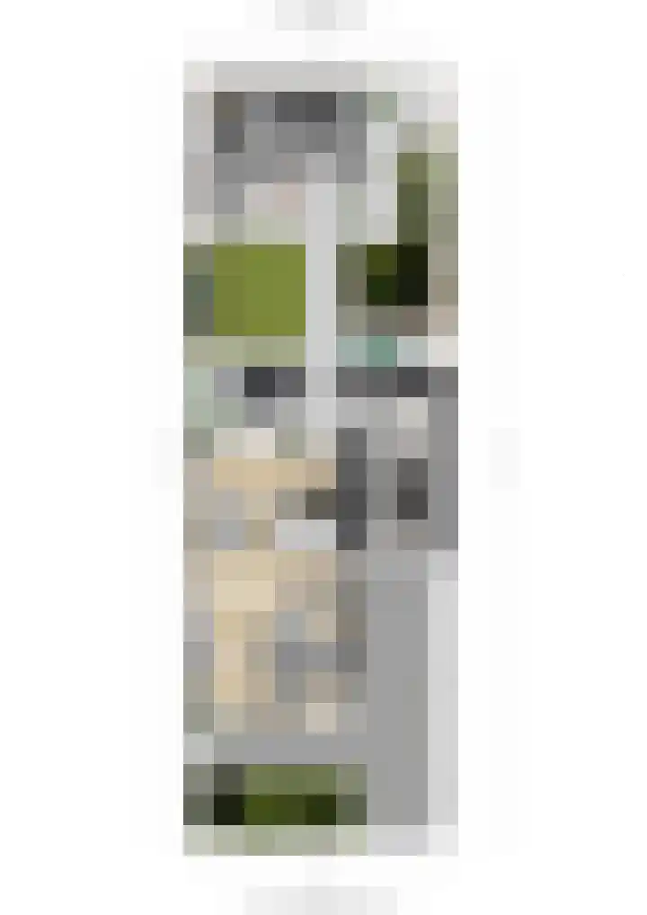 Overkroetenlaan 38 Breda thumbnail 41