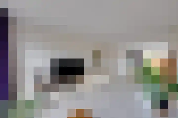 Overkroetenlaan 38 Breda thumbnail 5
