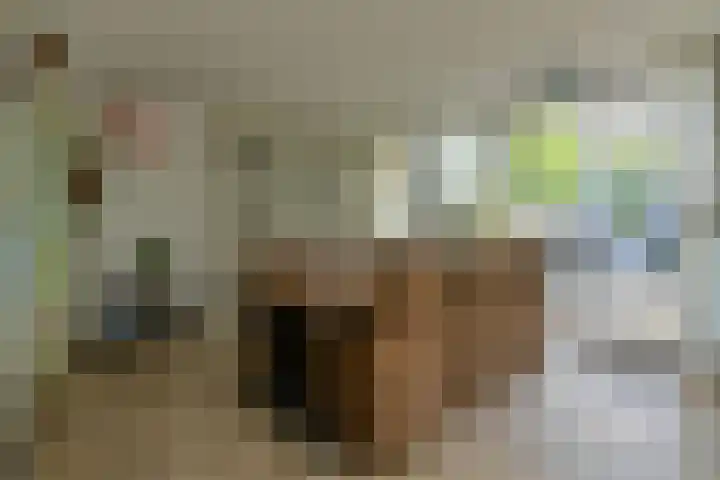 Overkroetenlaan 42 Breda thumbnail 18