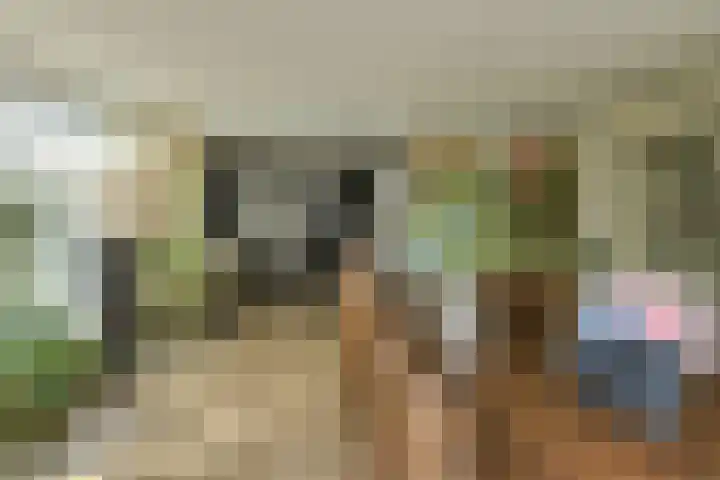 Overkroetenlaan 42 Breda thumbnail 20