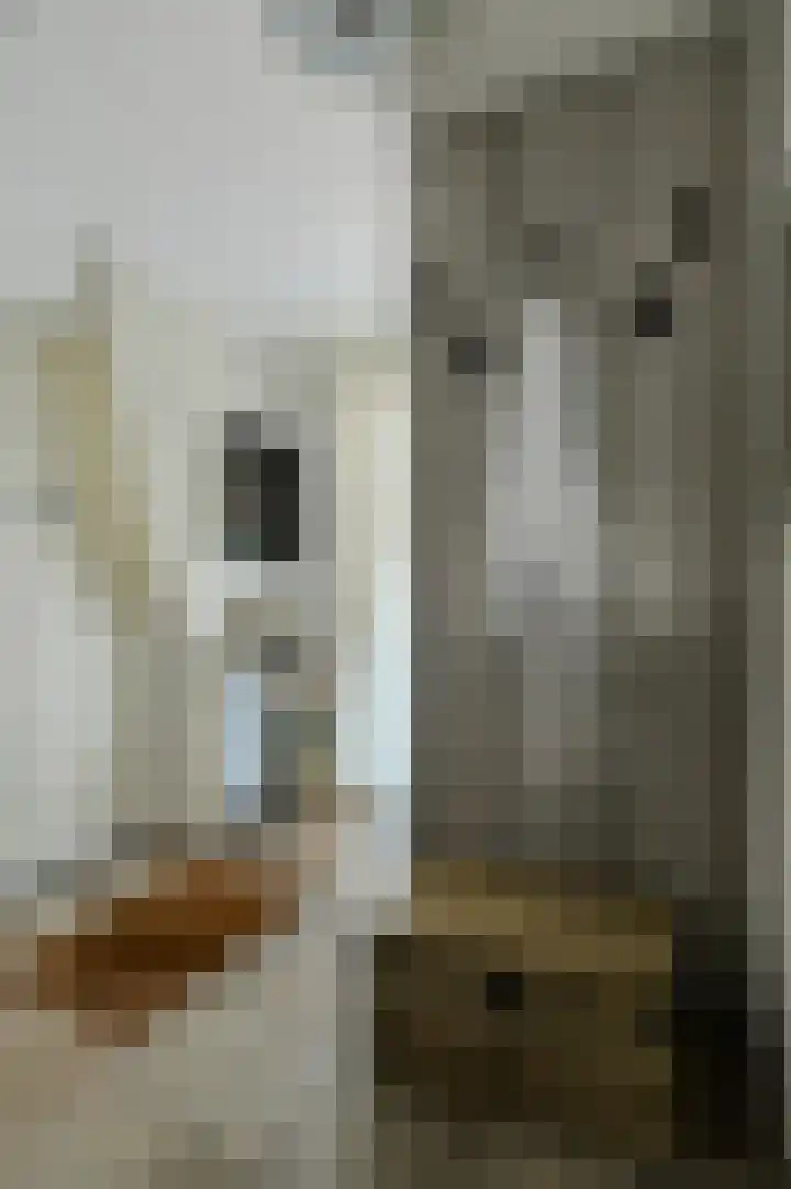 Overkroetenlaan 42 Breda thumbnail 21
