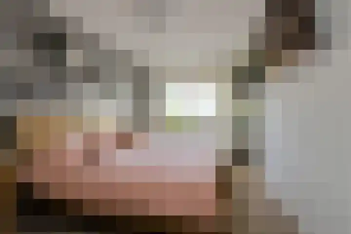 Overkroetenlaan 42 Breda thumbnail 26