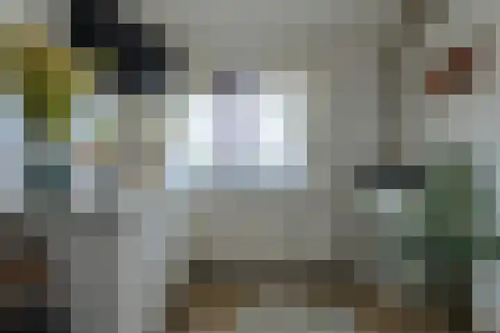 Overkroetenlaan 42 Breda thumbnail 31