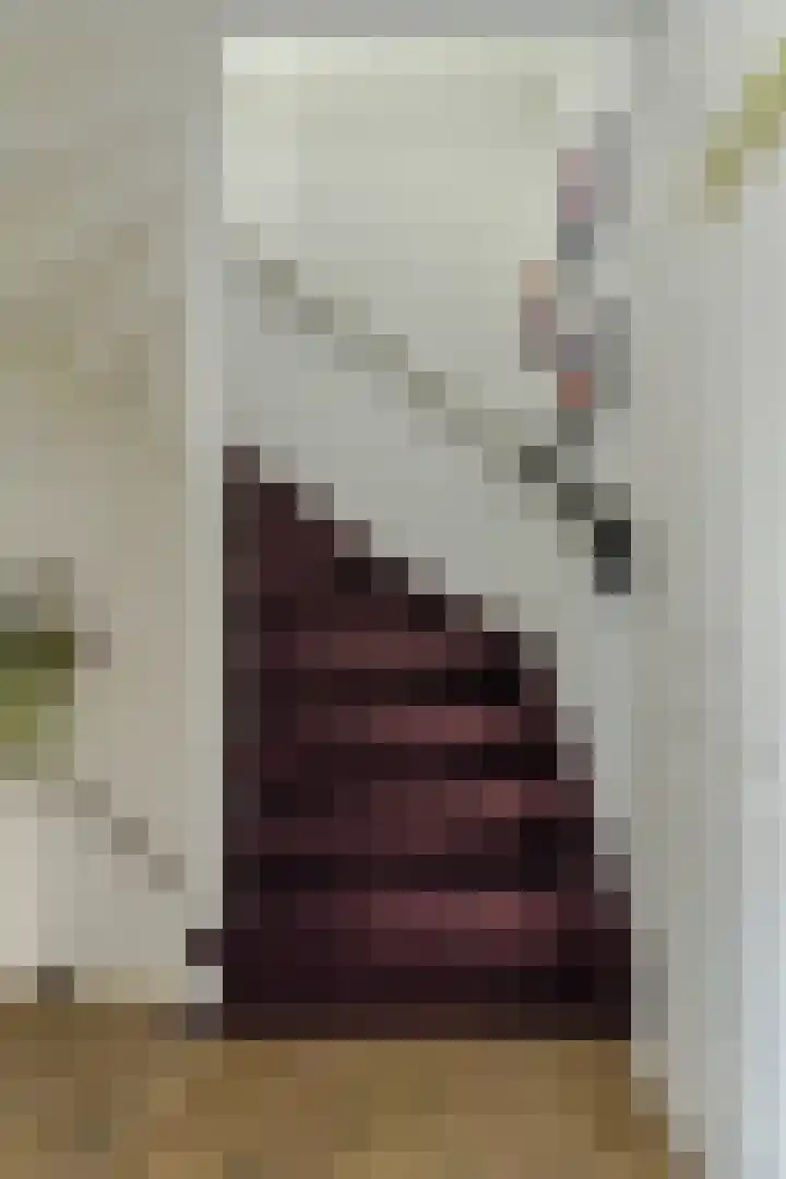 Overkroetenlaan 42 Breda thumbnail 34
