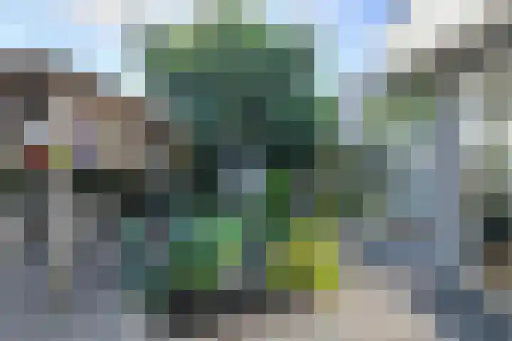 Overkroetenlaan 42 Breda thumbnail 39