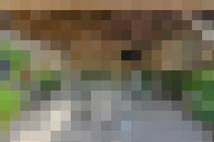 Overkroetenlaan 42 Breda thumbnail 41