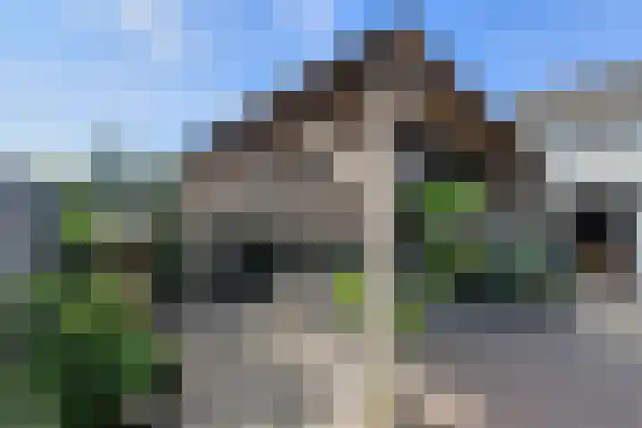 Overkroetenlaan 42 Breda thumbnail 43