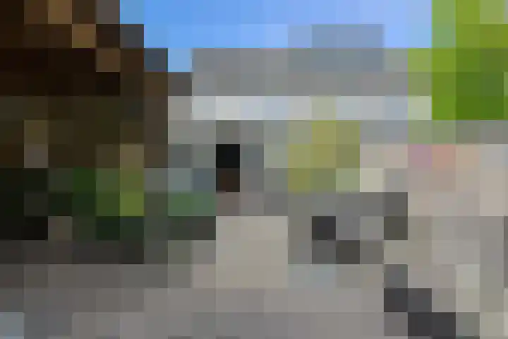Overkroetenlaan 42 Breda thumbnail 44