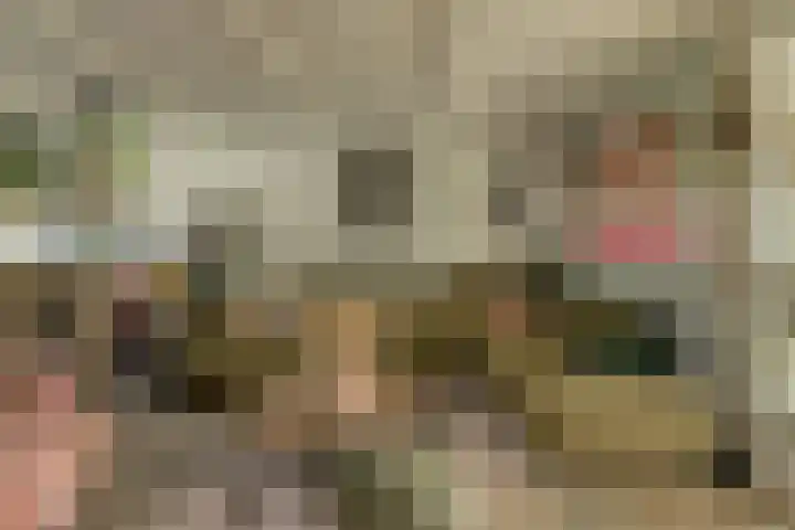 Overkroetenlaan 42 Breda thumbnail 8