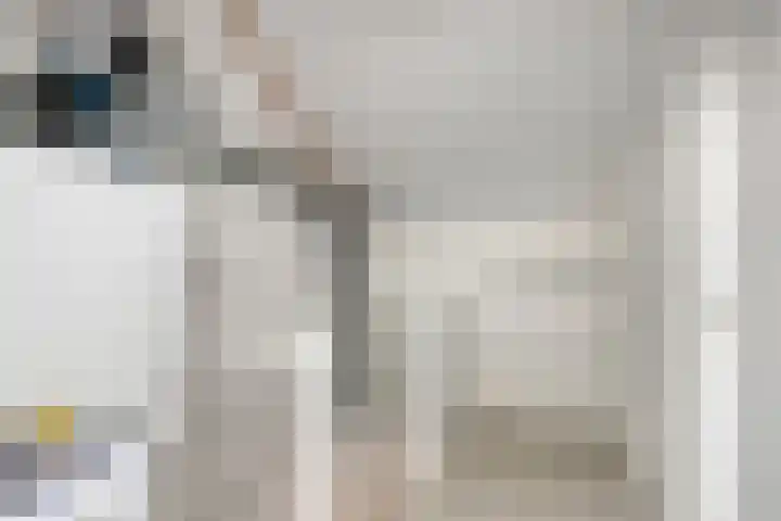 Overkroetenlaan 59 Breda thumbnail 30